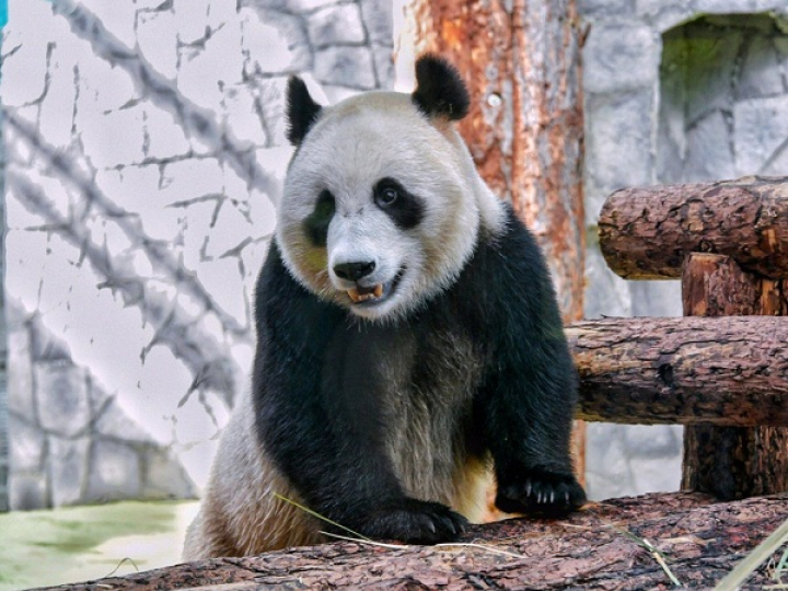 Московский Зоопарк