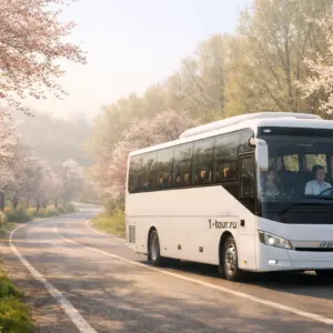 Туры на 8 марта